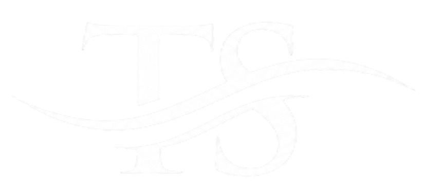 Televora Solutions Logo